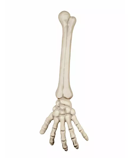 Kostlivčí ruka 46 cm Halloween