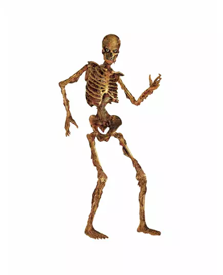 Dekorace kloubová rozkládající se kostra 180 cm