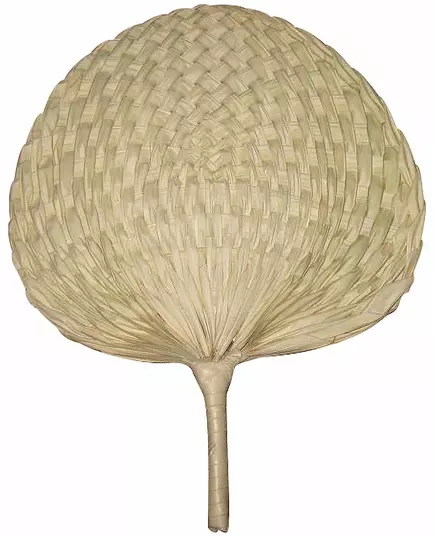 Přírodní vějíř