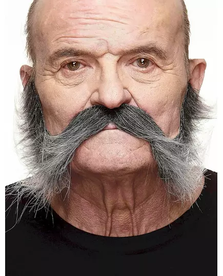 Šedivějící muž s licousy a knírem