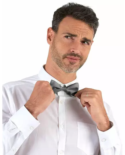 Stříbrný motýlek pro dospělé