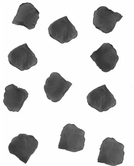100 černých textilních okvětních lístků růží 5 cm