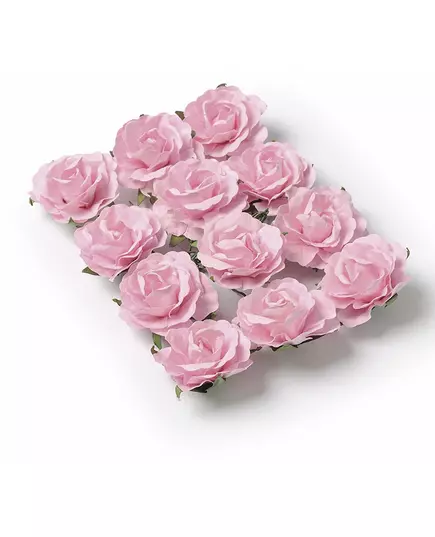 12 zapichovacích růžových růží