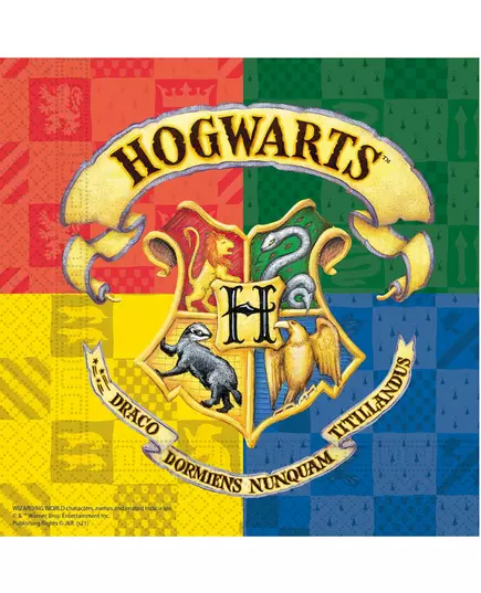 20 papírových ubrousků Harry Potter 33 x 33 cm