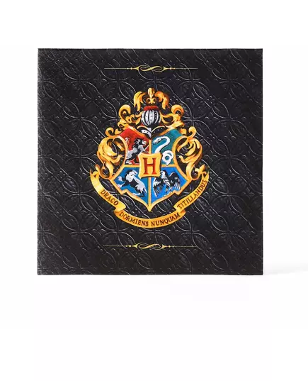 20 Harry Potter papírových ubrousků 33 × 33 cm