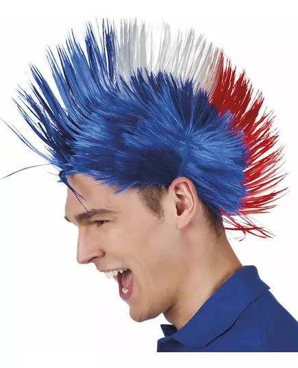 Punk paruka Francie