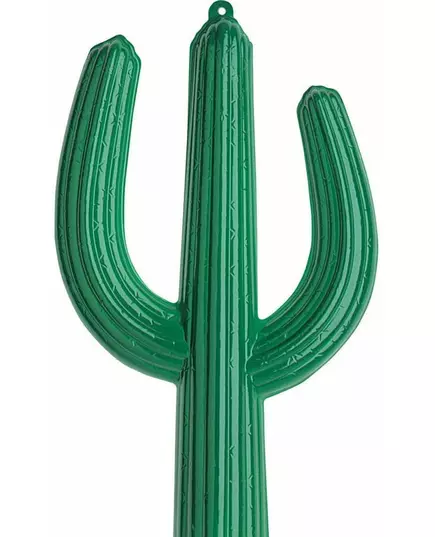 Kaktus 36 X 62 cm