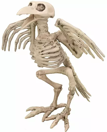 Dekorace kostlivec vrány 19.5cm Halloween