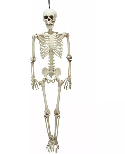 Kloubová kostra 90 cm Halloween