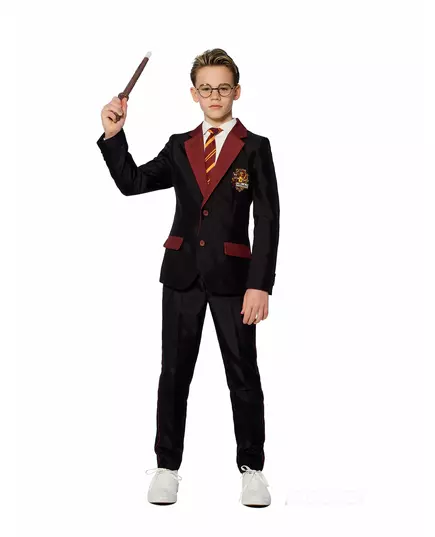 Dětský kostým Mr. Gryffindor Suitmeister, Velikost: 14-16 let(158-164 cm)