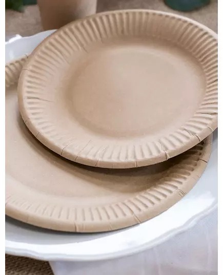 10 kraftových papírových talířů 23 cm, image 2