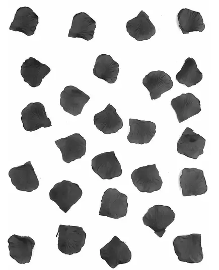 100 černých textilních okvětních lístků růží 5 cm, image 2