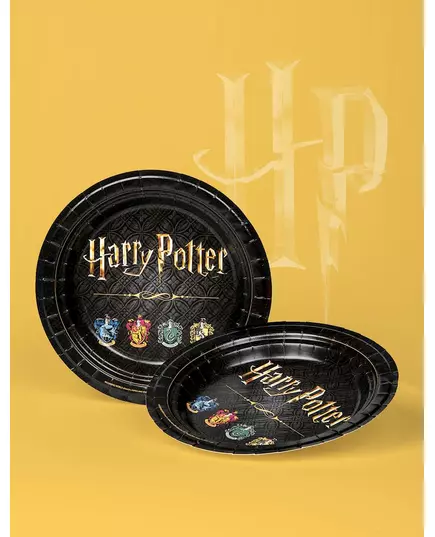 8 Harry Potter papírových talířů 23 cm, image 2