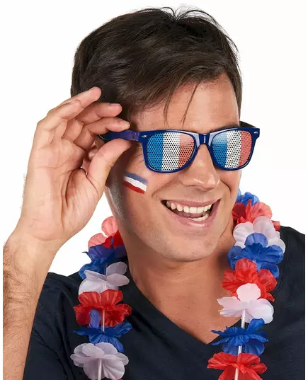 Brýle fanouška Francie pro dospělé, image 2