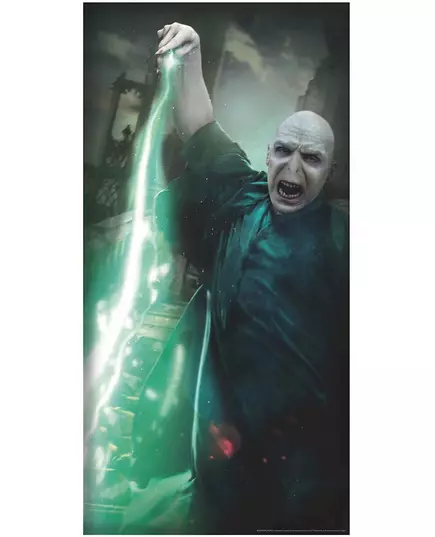 Papírová dekorace dveří Harry Potter – Voldemort, image 2