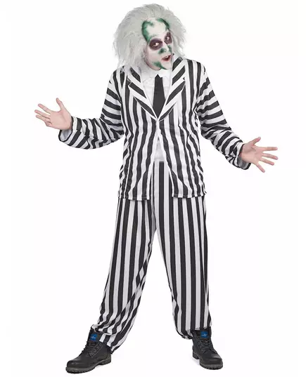 Kostým Beetlejuice pro muže, Velikost: Medium/Large, image 2