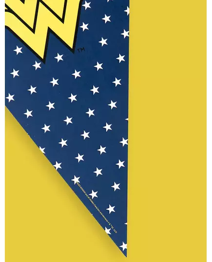 Praporková girlanda Wonder Woman 2 m, image 2