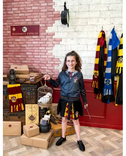 Harry Potter dívčí top Gryffindor se sukní, Velikost: 5-6 let (110 to 116 cm), image 2
