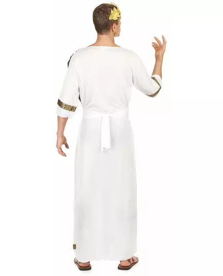 Hnědý římský kostým pro muže, Velikost: Large, image 3