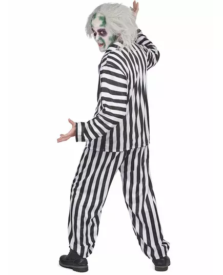 Kostým Beetlejuice pro muže, Velikost: X-Large, image 4