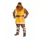 Kostým Halvar Vic the Viking pro muže, Velikost: Medium