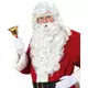 Luxusní vousy Santa Clause