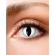 Kontaktní čočky Cat eye 3 měsíce pro dospělé