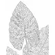 Dekorační větev – 5 bílých listů 80 cm, image 2
