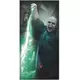 Papírová dekorace dveří Harry Potter – Voldemort, image 2