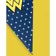 Praporková girlanda Wonder Woman 2 m, image 2