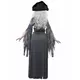 Šedý pirátský kostým ducha pro ženy Halloween, Velikost: Large, image 2